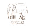 Circus Elephant. Vector Monochrome Illustration