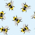 Bee seamless pattern in blue background. Illustration of sketched flying bees.