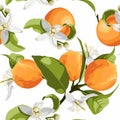 Citrus seamless pattern with orange fruit branch with flowers. Best for print, textile, wrapping paper. Royalty Free Stock Photo