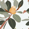 Floral seamless pattern, yellow Anise magnolia flowers and leaves on light brown, pastel vintage colors. Royalty Free Stock Photo