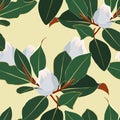 Floral seamless pattern, white Anise magnolia flowers and leaves on light brown, pastel vintage colors. Royalty Free Stock Photo