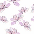 Spring flower seamless pattern with violet succulents. Elegant tender design for natural cosmetics, perfume, florist shop.