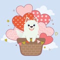 The character of cute samoyed dog sitting in the hot air balloon on the sky. The cute samoyed do sitting in the basket and heart b