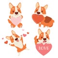 The collection of cute corgi dog with heart on the white background. The character of cute corgi dog with valentine day theme. The