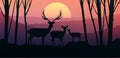 Herd of deer in the natural forest. Wild animals. Mountains horizon hills silhouettes of trees. Evening Sunrise and sunset.