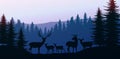 Herd of deer in the natural forest. Wild animals. Mountains horizon hills silhouettes of trees. Evening Sunrise and sunset.