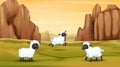 Three sheep playing on the field