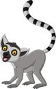 Cartoon cute lemur on white background