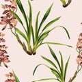 Seamless tropical orchids exotic flower pattern background. Tropical flowers and  leaves, on light background. Royalty Free Stock Photo