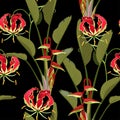 Tropical jungle plants, exotic green  leaves and Gloriosa glory lily paradise flowers on black background. Royalty Free Stock Photo