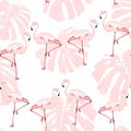 Pink flamingo, monstera leaves, white background. Floral seamless pattern. Tropical illustration. Royalty Free Stock Photo