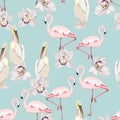 Tropical orchid, exotic flowers, pelican flamingo bird floral seamless pattern, blue background. Royalty Free Stock Photo