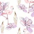 Tropical orchid, exotic succulent flowers, pelican flamingo bird floral seamless pattern, white background. Royalty Free Stock Photo
