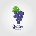 Grapes with leaves whole. Grapes icon