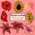 Flowers in bloom - small collection pack. Ornamental isolated vectors with floral elements