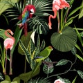 Tropical birds parrot, flamingo, plants leaves, abstract color black background. Royalty Free Stock Photo