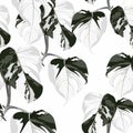 Topical palm leaves over white, seamless pattern. Beautiful allover print with hand drawn exotic plants.