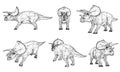 Triceratops big dangerous dinosaur. Polygonal lines illustration. Royalty Free Stock Photo