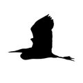 The silhouette vector illustration of flying egret bird in white background Royalty Free Stock Photo