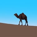 The vector illustration of dromedary camel in desert Royalty Free Stock Photo