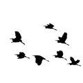 The silhouette vector illustration of flying egret heron bird flock in white background