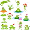 Cartoon Funny Frog Collection Set