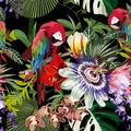 Tropical birds parrot, exotic jungle plants, leaves, flowers abstract seamless black background. Royalty Free Stock Photo