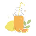 Fresh lemon and orange smoothie. Royalty Free Stock Photo