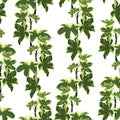 Seamless floral pattern. Background with ivy branches. Plants texture for design. Royalty Free Stock Photo