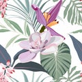 Seamless pattern: Succulent, banana flower, tropical palm leaves. Hand drawn beautiful elements.