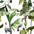 Tropical botanical wild birds, floral palm tree seamless pattern on white background.