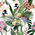 Exotic birds, passion flowers, monstera palm leaves, white background. Floral seamless pattern. Tropical illustration. Royalty Free Stock Photo