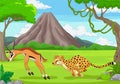 The cheetah is chasing an impala in an African savanna Royalty Free Stock Photo