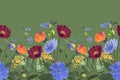 Vector floral seamless border. Summer flowers, green leaves. Chicory, mallow, gaillardia, marigold, oxeye daisy. Royalty Free Stock Photo
