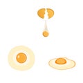 Egg. Omelette. Fried egg. Vector illustration