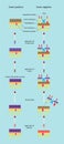 The different between bacteria gram positive and gram negative Royalty Free Stock Photo