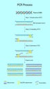 Polymerase chain reaction process