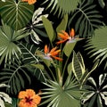 Tropical floral background with palm leaves, plants and hibiscus strelitzia flowers. Royalty Free Stock Photo