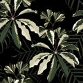 Seamless pattern with traditional home plant leaves, monstera, palm. Tropical texture on black bckground.
