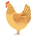 Chicken Vector Icon Illustration which can easily modify or edit