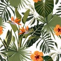 Tropical floral background with palm leaves, plants and hibiscus strelitzia flowers. Royalty Free Stock Photo