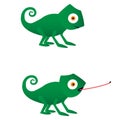 Chameleon. The lizard hunts. Vector illustration Royalty Free Stock Photo