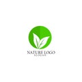 Nauture logo design template.tree logo template Royalty Free Stock Photo