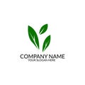 Nauture logo design template.tree logo template Royalty Free Stock Photo