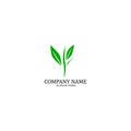Nauture logo design template.tree logo template Royalty Free Stock Photo