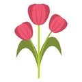 Bouquet Color Vector Icon which can easily modify or edit icon