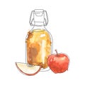 Watercolor vector illustration of apple cider vinegar.