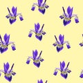 Illustration of seamless floral pattern with hatched iris flowers. Yellow background.