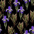 Seamless botanical watercolor style pattern with iris flowers, leaves and pink exotic branch. Royalty Free Stock Photo