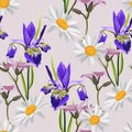 Seamless summer pattern. Wild flowers chamomile, herbs, iris. Floral decoration for printing on wallpaper, paper, textiles, fabric Royalty Free Stock Photo